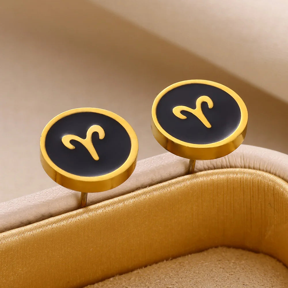 1 Par de Brincos Redondos Fashion com Signo do Zodíaco para Mulheres, Brincos de Aço Inoxidável com Gota de Óleo Preto, Jóias Estilo Hip Hop para Festas e Presentes Escorpião - Aquário