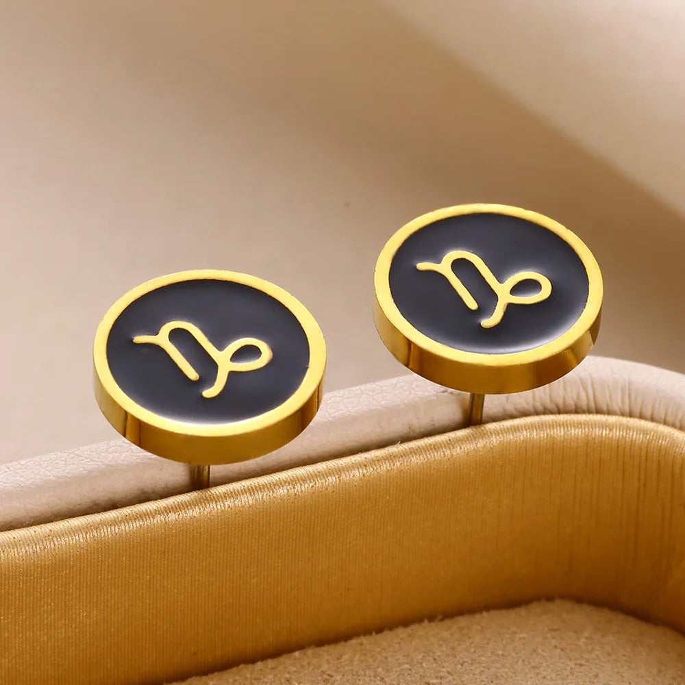 1 Par de Brincos Redondos Fashion com Signo do Zodíaco para Mulheres, Brincos de Aço Inoxidável com Gota de Óleo Preto, Jóias Estilo Hip Hop para Festas e Presentes Escorpião - Aquário