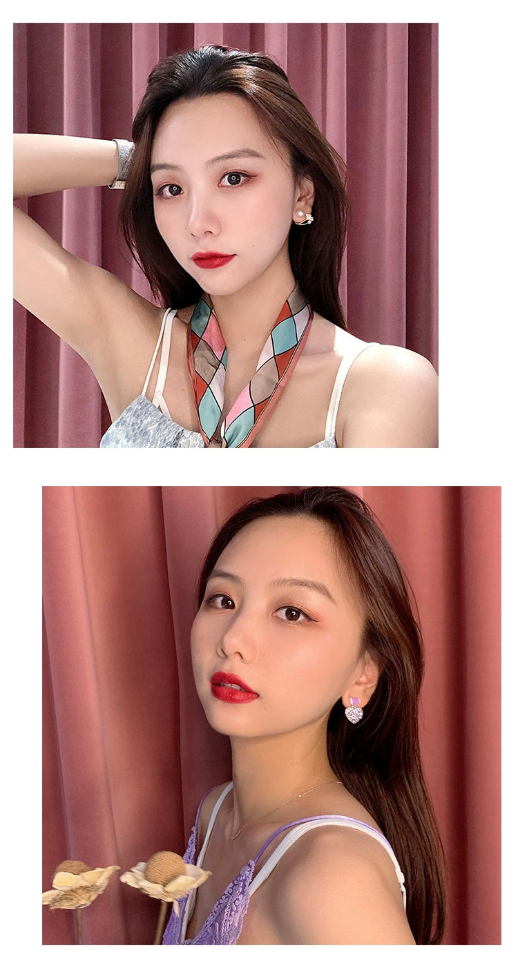 Niche Style Best Selling South Korea Female 925 Silver Needle Internet Influencer Earrings