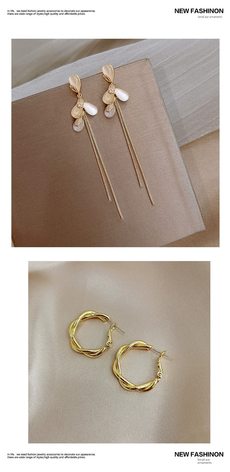 Niche Style Best Selling South Korea Female 925 Silver Needle Internet Influencer Earrings