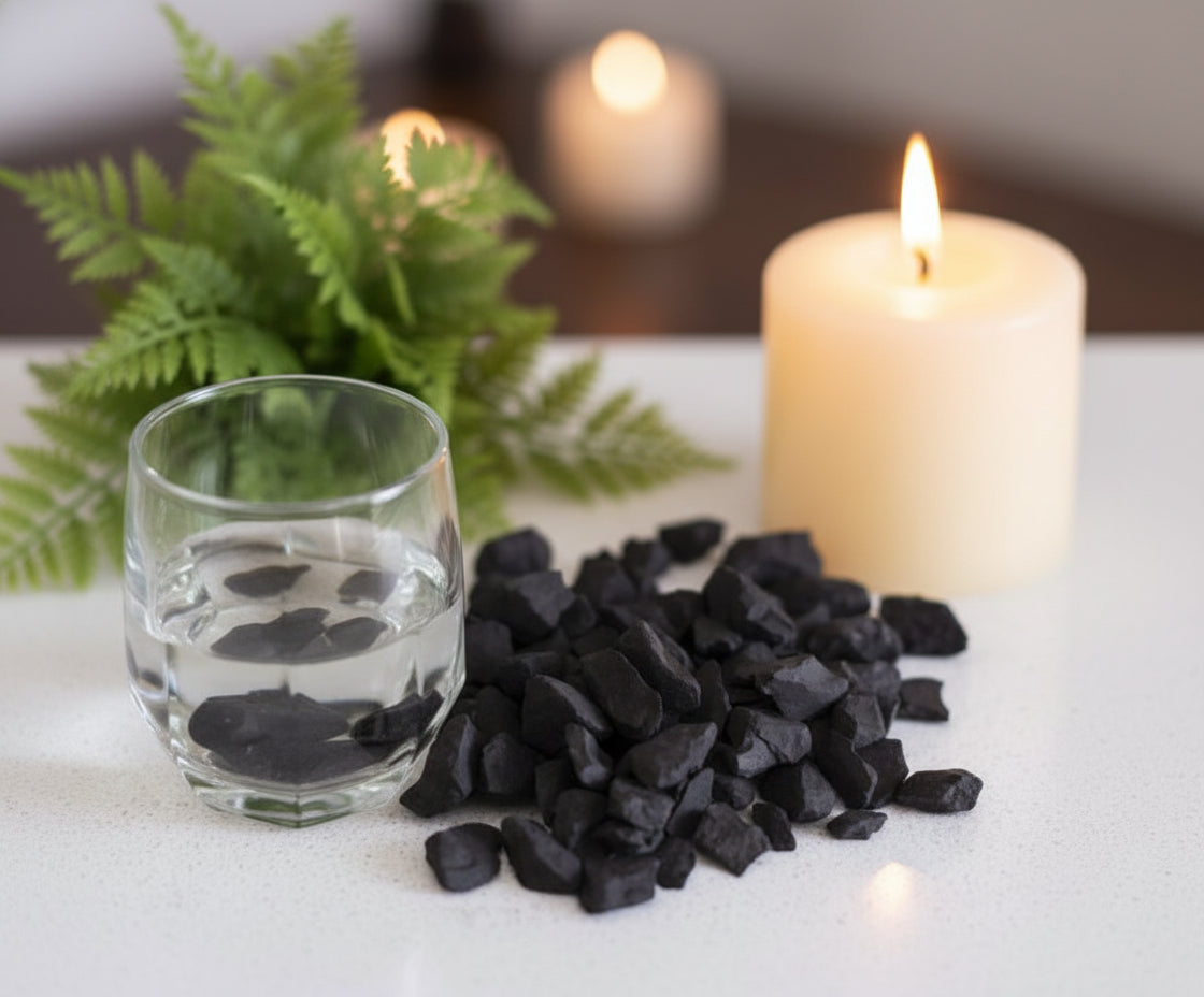 Shungita Pedra Natural Bruta Proteção Purificação Energética Vibração Elevada Energia da Terra  Chakra Raiz