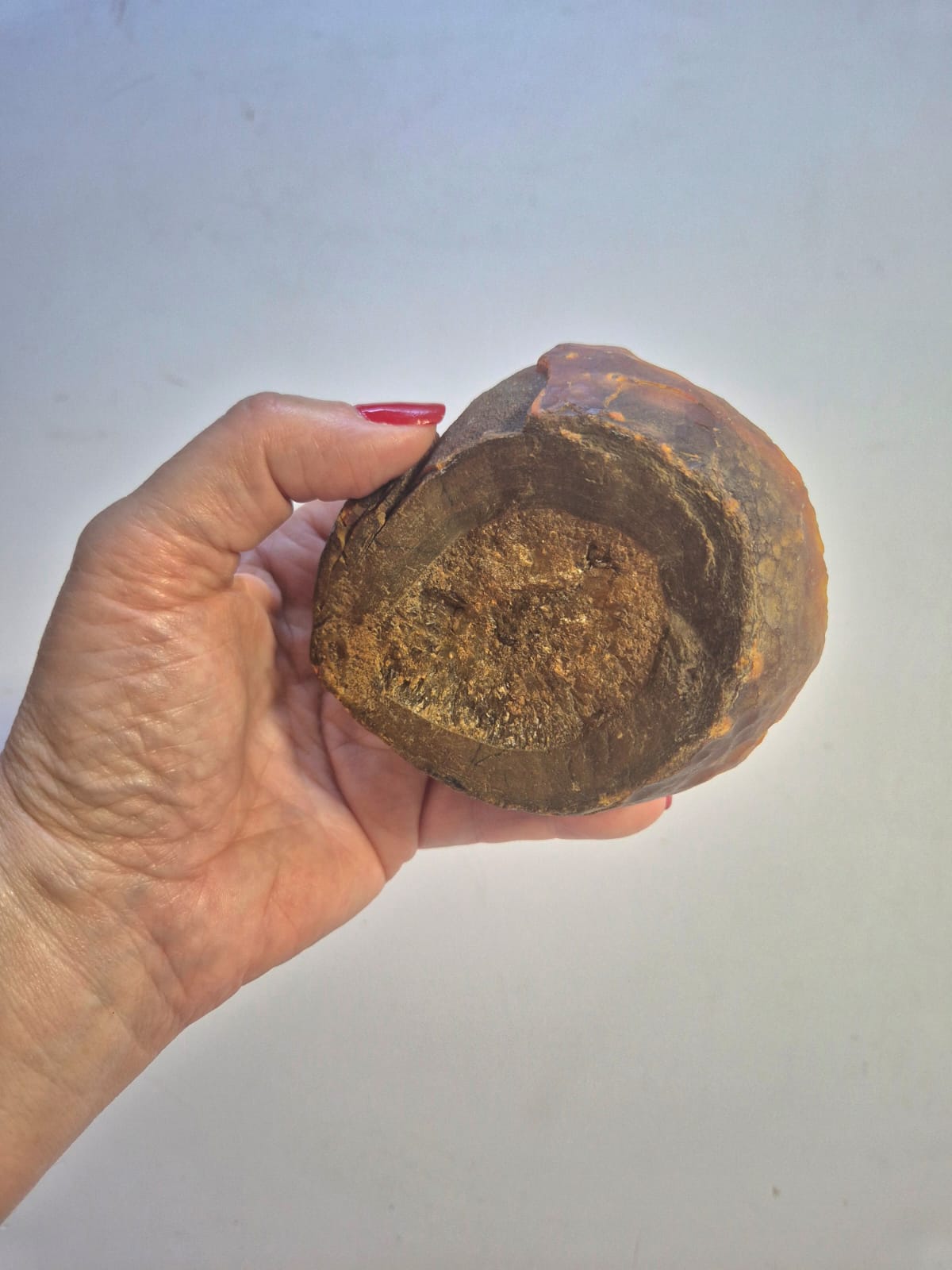 Placa de Ágata Marrom Natural com Cristalização Interna – Energia de Proteção e Equilíbrio -Harmonia Plena